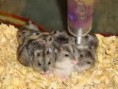 /album/galeria-de-fotos/ghbvb-jpg/